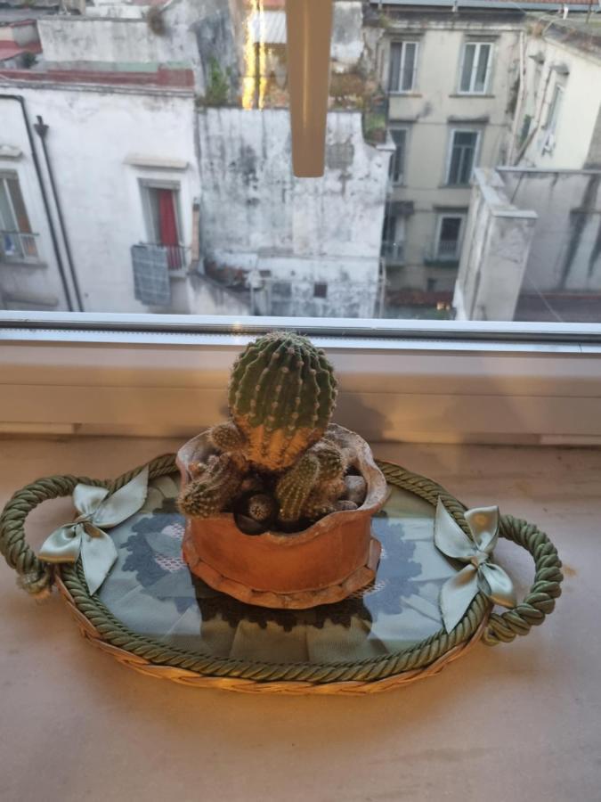 Uanema House Appartement *